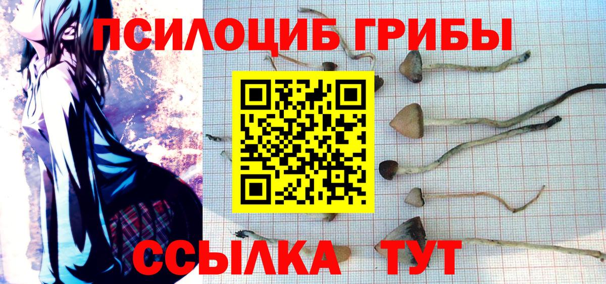 Галлюциногенные грибы мухоморы Вышний Волочёк
