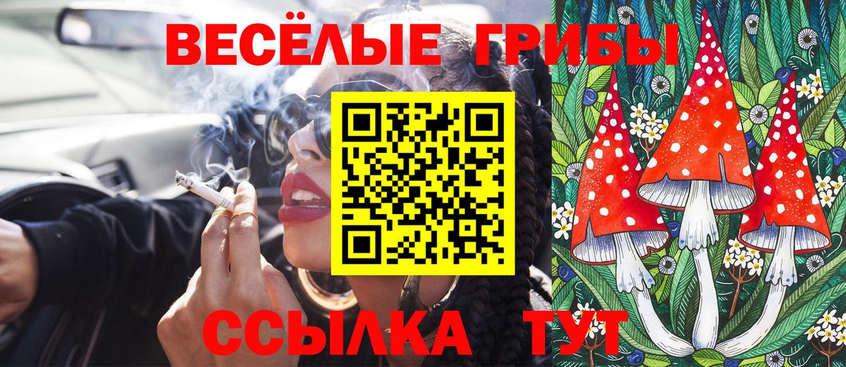 Вышний Волочёк  Псилоцибиновые грибы GOLDEN TEACHER  Вход с VPN 